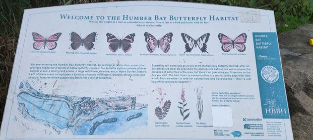 For Lease - 38 Annie Craig Drive Unit# 509, Toronto, Ontario - Photo 1