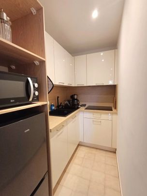 Location Appartement 1 pièce 26m² LE CANNET 06110 - Photo 1