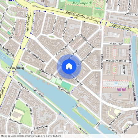 Laan van Nieuw-Guinea 85-BS, Laan van Nieuw-Guinea, Spinozaweg e.o., 3531JE, Utrecht