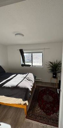 1 Bedroom 1 Bath - 5 month Sublet With Option To Extend - Photo 1