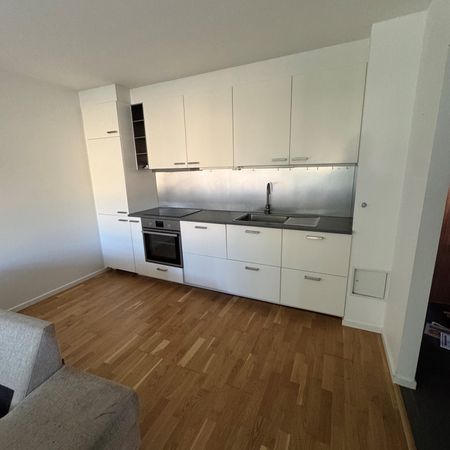 Bokelundagatan, Skånes Fagerhult - Foto 3
