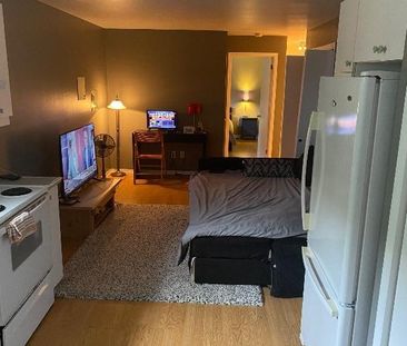 Logement 3 et demi batchelor - Photo 2