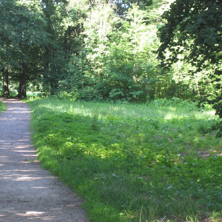 Höstgatan 41 - Foto 1