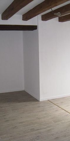 Location Appartement 1 pièce 25m² ORLEANS 45000 - Photo 1