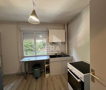 Appartement en colocation à louer - Photo 4