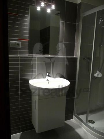Pronájem bytu 1+kk • 44 m² bez realitkyNová, České Budějovice 3, Jihočeský kraj - Photo 4