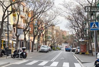 barcelona, Catalonia 08042