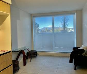 Vancouver 1bed1bath A/C Apt - Photo 3