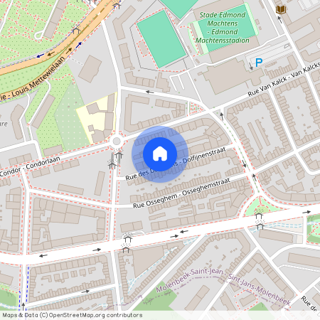 Dolfijnenstraat 19, Sint-Jans-Molenbeek