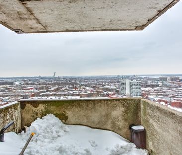 Condo for rent, Montréal (Le Plateau-Mont-Royal) - Photo 5