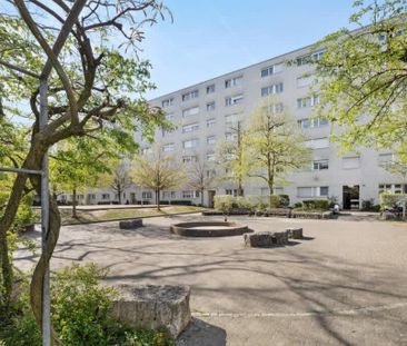 2.5 Zimmer, 45 m², 6. Stock - Photo 4