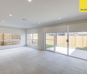 49 Yellowstone Circuit, Yarrabilba QLD 4207 - House For Rent | Domain - Photo 1