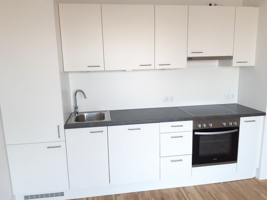 JETZT TOPAKTION: EIN MONAT MIETFREI !!! 3-ZIMMERWOHNUNG MIT TOPAUSSTATTUNG IM NEUEN REININGHAUS - Photo 1