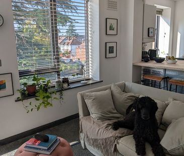Room in a Shared Flat, Tulse Hill, SW2 - Photo 2
