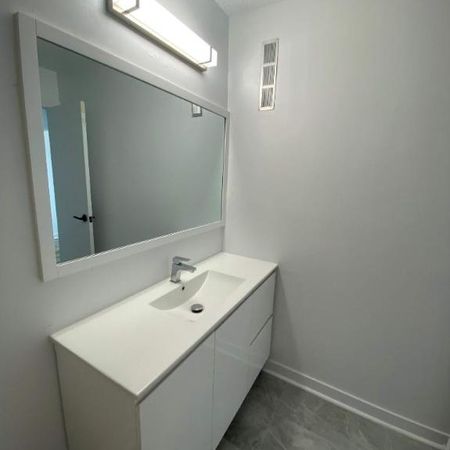 GRAND ET LUMINEUX 4.5 RÉNOVÉ DISPONIBLE 1er AVRIL 2025 - Photo 3