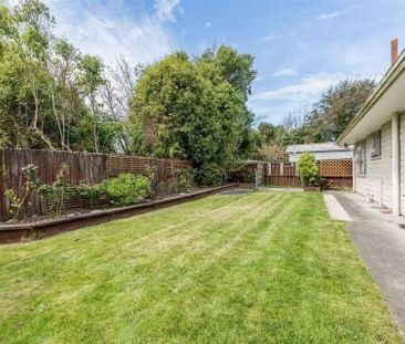 Upper riccarton sunny 2 bedroom house - Photo 2