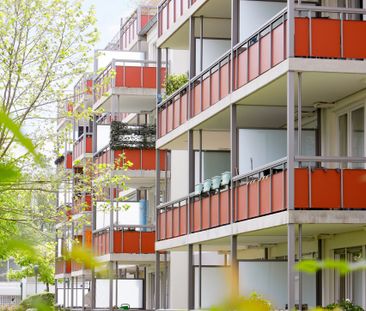 130-006 – Am Bonner Berg 2, Bonn-Graurheindorf, 56,50 m², 2 Zimmer,... - Foto 1