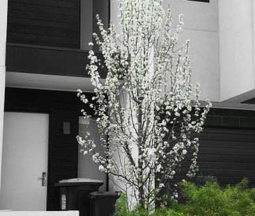 Sunshine West - Photo 4