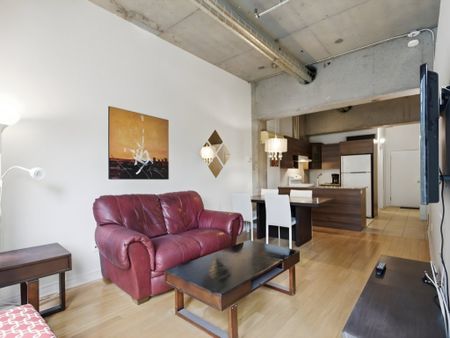 1200 Rue St Alexandre, Montréal (Ville-Marie), QC H3B - Photo 3