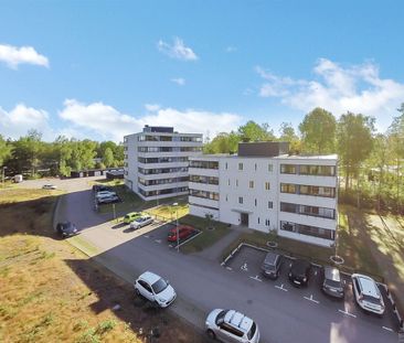 Maskrosvägen 8 - Photo 1