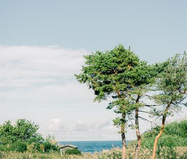 Väskinde Salthamn, Visby - Photo 5