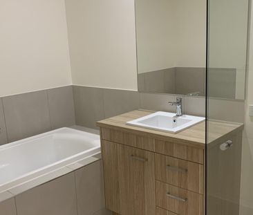 Modern Comfort in the Heart of Picturesque Mooloolah Valley - Photo 4