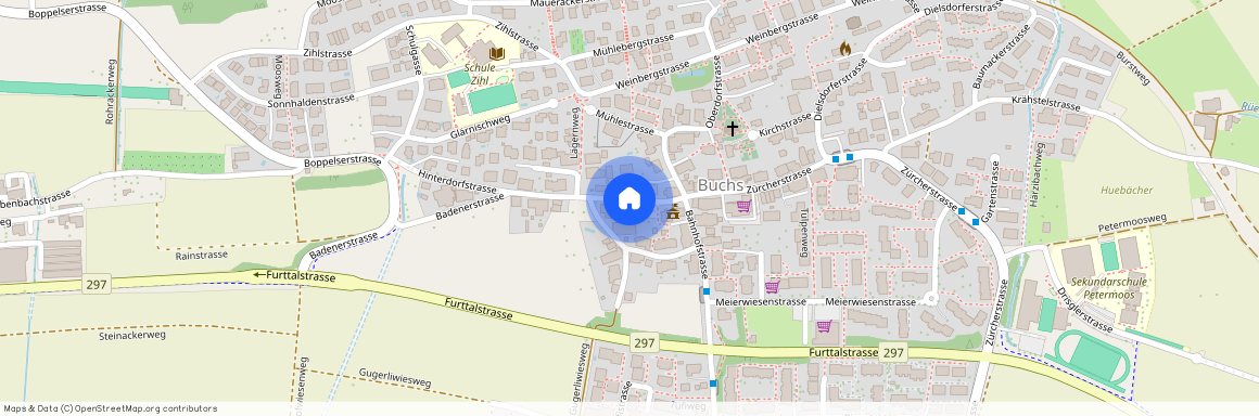 8107, Buchs ZH, Badenerstrasse, 9