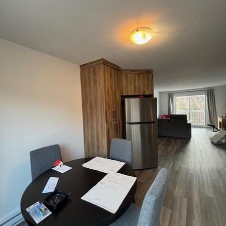 4 1/2 à louer à Bromont - Photo 3