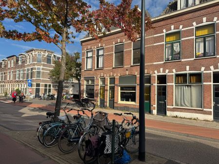 Lage Rijndijk - Foto 5