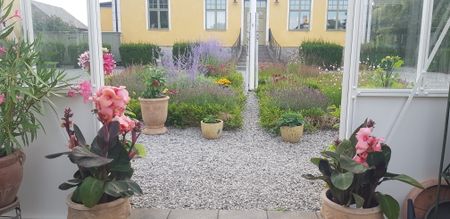 Fartygsgatan, Brantevik - Foto 2