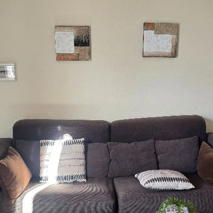 Apartamento de alquiler en Calle Aceviño, 49, Zona Botánico - Photo 1