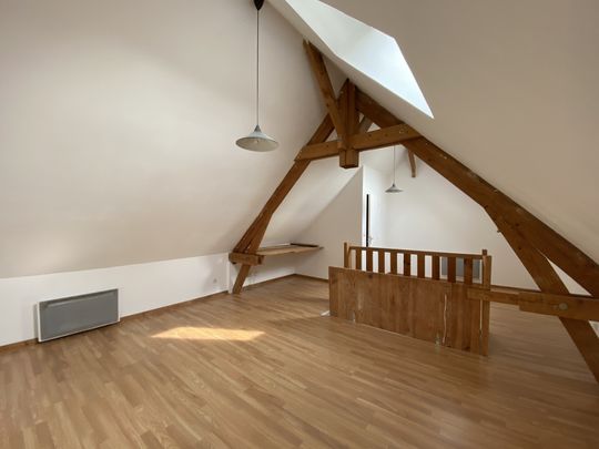 APPARTEMENT DUPLEX - COMMUNE DE REVELLES A 10 MIN DU CHU SUD - Photo 1