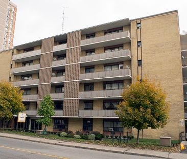 101 Marlee Ave - Photo 4