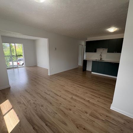 Plusieurs unités disponibles dans un immeuble calme et bien entretenu - Photo 4