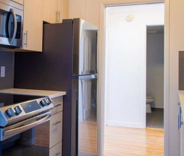 Fontainebleau Apartments — 1-Bedroom - Photo 1
