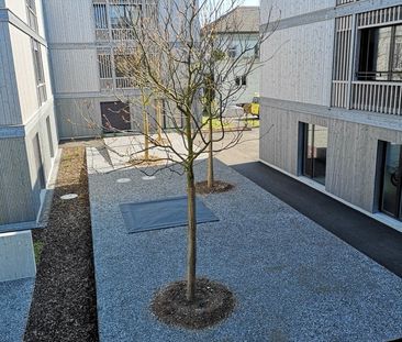 "Heimelige Wohnung sucht Sie - und das ohne Mietkaution!" - Foto 5