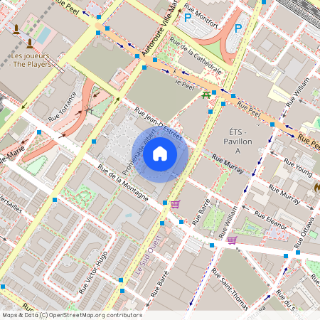 550 Rue Jean-D'Estrées, app. 1008, Montréal (Ville-Marie), H3C6W1