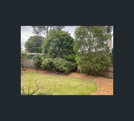 66 Loretto Avenue, Ferntree Gully, Vic 3156 - Photo 2