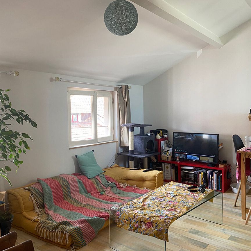 PROCHE FAC DE DROIT, Charmant T2 de 31m² avec cuisine équipée ! - Photo 1
