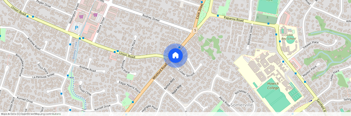 206 Cook Street, Manukau