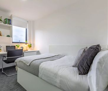 Premium Studio - Photo 4