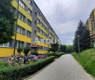 Grabówka, Bitwy pod Studziankami, Tarnów - Photo 3