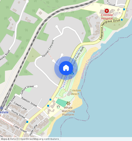 60 Squire Crescent, Coledale, NSW 2515