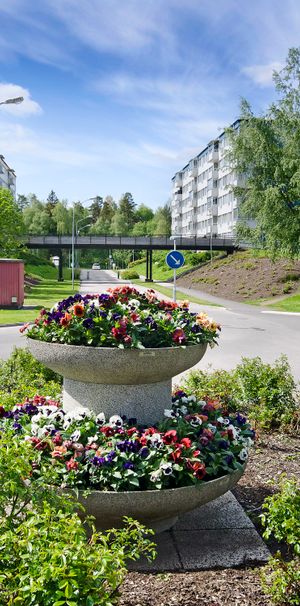 Lars Kaggsgatan, Borås - Photo 1