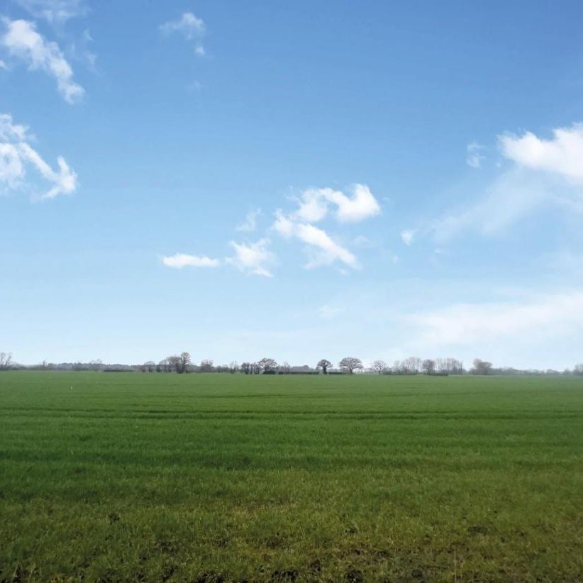 Willow Crest Road, Cawood - Photo 1