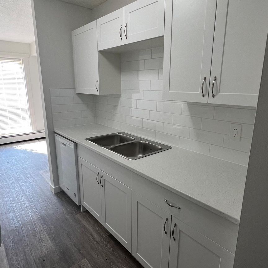 FULLY RENOVATED TWO BEDROOM ~ SMALL PET FRIENDLY! - Photo 1