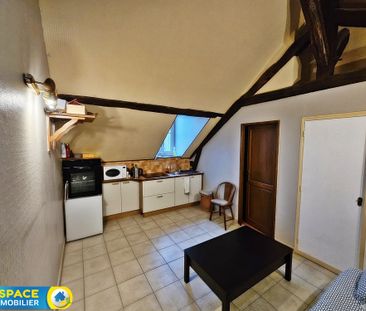 Location Appartement 1 pièce 16m² ST MARTIN D ABBAT 45110 - Photo 2