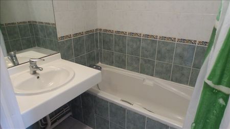Location Appartement 1 pièce 24m² - Photo 3