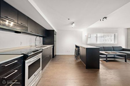 MC132 - Apartment Centre-Ville, Montreal - Photo 2