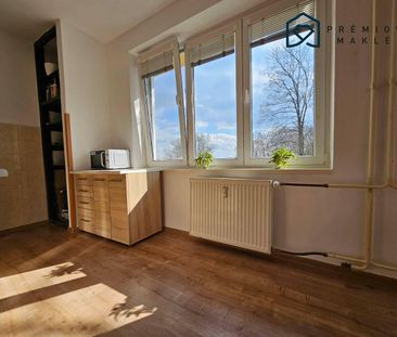 Pronájem bytu 1+1 40 m² - Photo 5